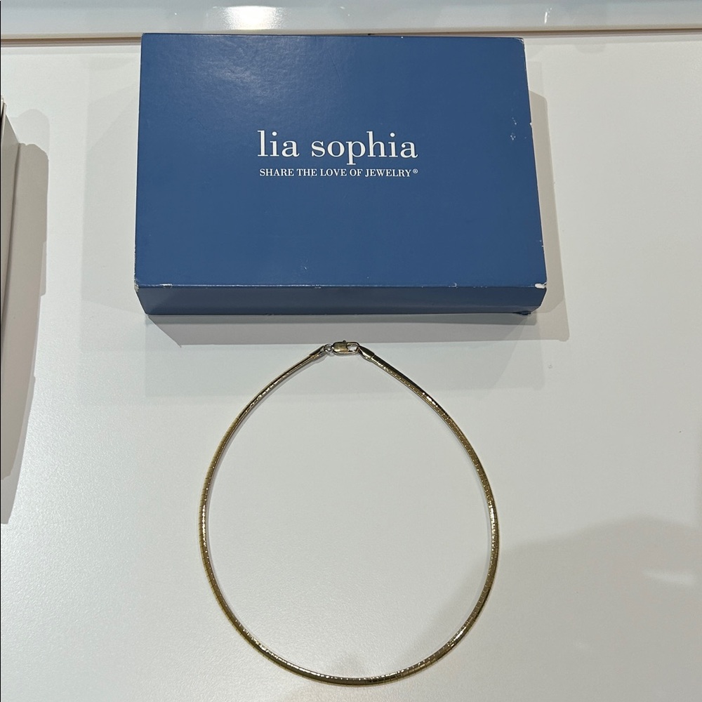 Lia Sophia Trish  Elegant Reversible Gold and Silver Necklace